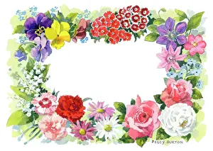 Carnations: Border design of Summer Flowers