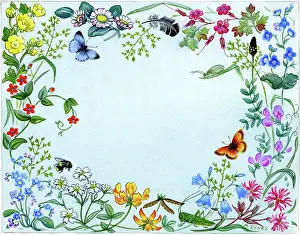 Buttercups: A border design of wild flowers