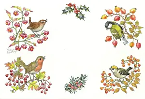 Goldcrest: Border design with wren, great tit, goldcrest