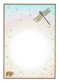 Border with dragonfly and toad