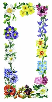 Ockenden: Border of flowers of the four seasons