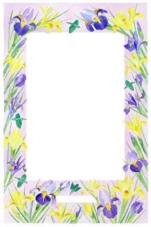 Kingfishers: Border of Irises with Kingfishers