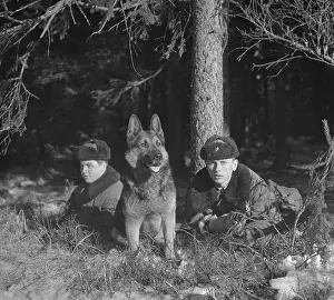 Perpetrators: Border Patrol - CSSR - German shephard - Iron Curtain