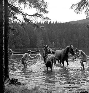 Perpetrators: Border patrol with horses