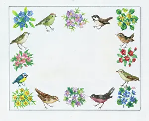 Posies: Border with eight posies and eight birds