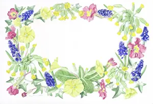 Primroses: Border of Primroses, Cowslips and Hyacinths
