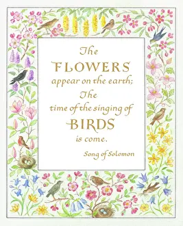 Bertha: Border of spring flowers and birds