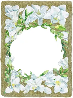 Freesias: Border with White Freesias