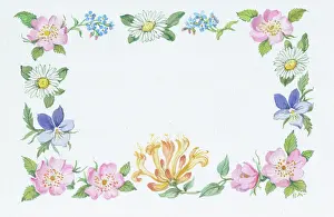 Honeysuckle: Border of wild roses, honeysuckle, daisies, violets etc