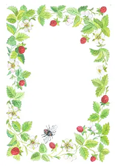 Strawberries: Border of Wild Strawberries and Bee