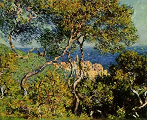 Bordighera: Bordighera, by Monet