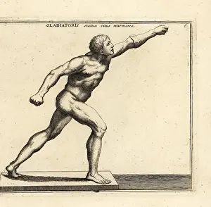 Il Cannetti: The Borghese Gladiator, Louvre, Paris