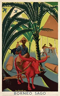 Starch: Borneo Sago poster