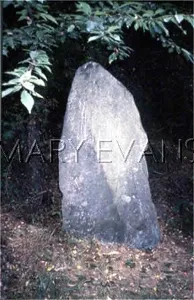 Runes: BORNHOLM ISLAND STONES