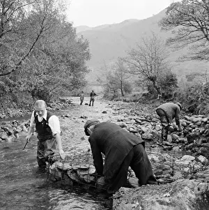 Borrowdale: Borrow Beck, Cumbria