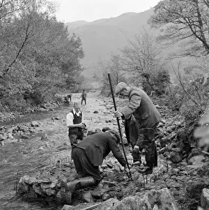 Borrowdale: Borrow Beck, Cumbria