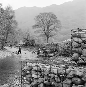 Borrowdale: Borrow Beck, Cumbria