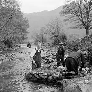 Borrowdale: Borrow Beck, Cumbria