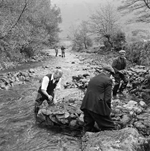Draining: Borrow Beck, Cumbria