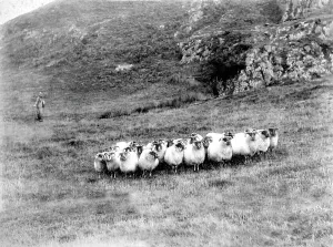 C1865: Borrowdale, Castle Crag c1865