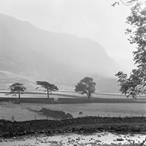 Fells: Borrowdale, Cumbria