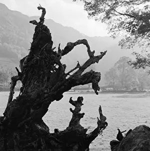 Fells: Borrowdale, Cumbria