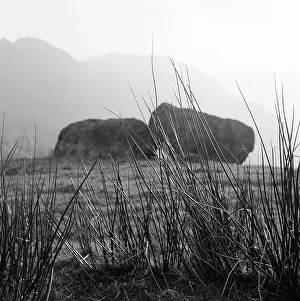 Coarse: Borrowdale, Cumbria