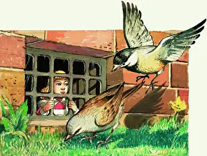 Borrowers: The Borrowers