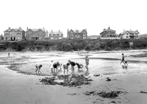 Borth: Borth, Cliff Terrace 1925