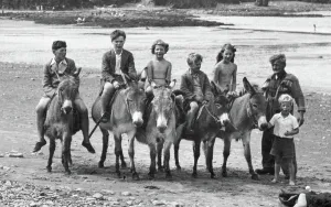 Borth: Borth, the Donkeys 1952