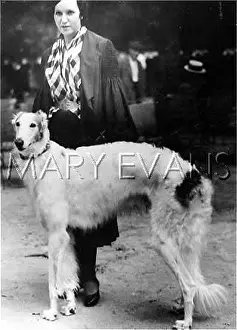 Borzoi: BORZOI DOG WITH LADY