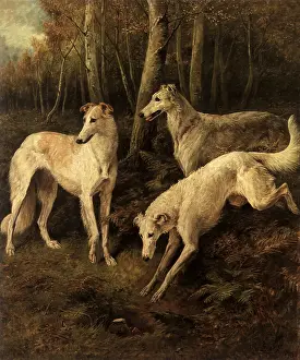 Emms: Borzois Hunting