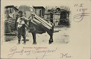 Bosnian: Bosnian wood seller