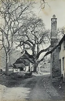 Picturing England: Bossington