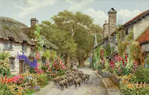Bossington: Bossington, Exmoor, Somerset