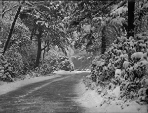 Bostall: Bostall Hurst House (in snow)