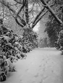 Bostall: Bostall Hurst House (in snow)