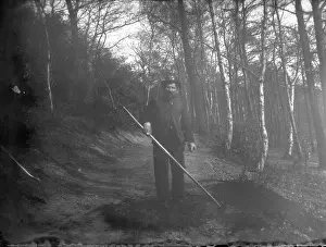 Bostall: Bostall Woods
