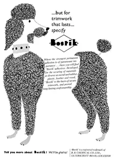 Adhesives: Bostik Adhesives & Sealants