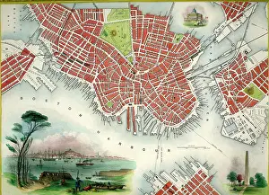 Tallis: Boston