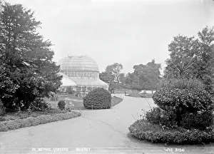 Botanic: In Botanic Gardens, Belfast