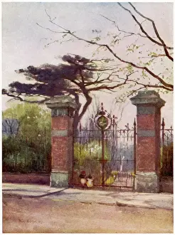 Apothecaries: BOTANICAL GARDEN CHELSEA