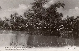 Botanical Garden, Pamplemousses, Mauritius