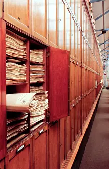 Herbarium: Botanical specimens