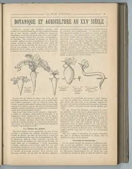Cultivation: Botany and Agriculture in the 25th Century