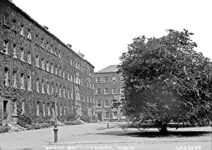 Trinity: Botany Bay, Trinity, Dublin