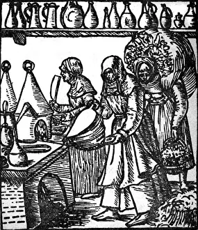 Remedies: botany, herbs, two herb woman during work, third