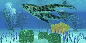 Detritivore: Bothriolepis aquatic fish swimming in Devonian Seas