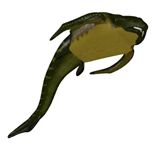 Ugliness: Bothriolepis Ffish, white background
