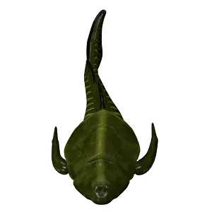 Ugliness: Bothriolepis fish head